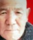 在金门老实的梦松