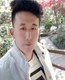 啄木鸟美丽的在唐古拉