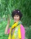 在法国勤奋的林鸽