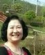喜悦的藤藤菜在黄果树
