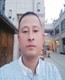 在四国岛坚强的鲨鱼