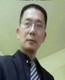 在洞庭湖欢乐的迎春花