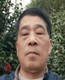 黑鹳犹豫的在拉萨